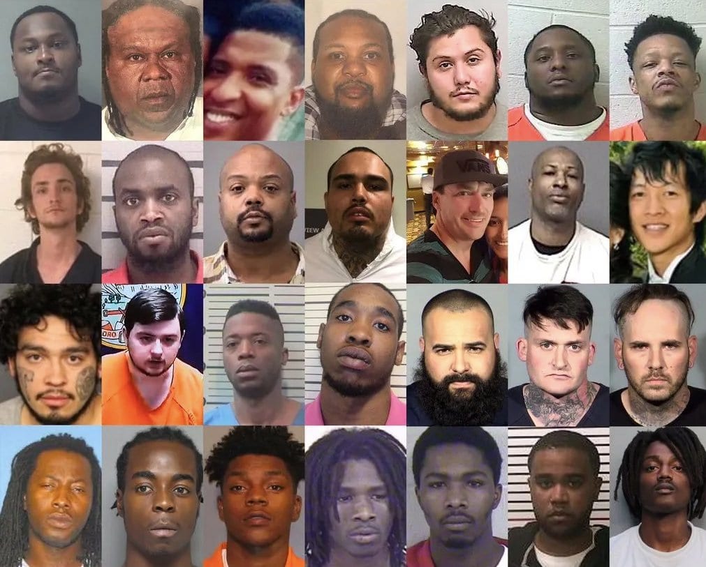 Mass Shooting Perpetrators From 2019. I damn sure see more than just